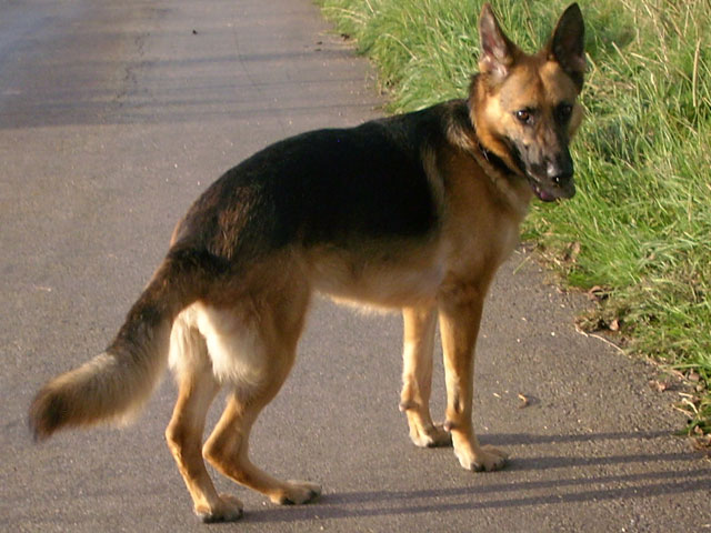 sammy01